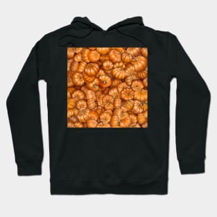 Pumpkin Explosion Hoodie